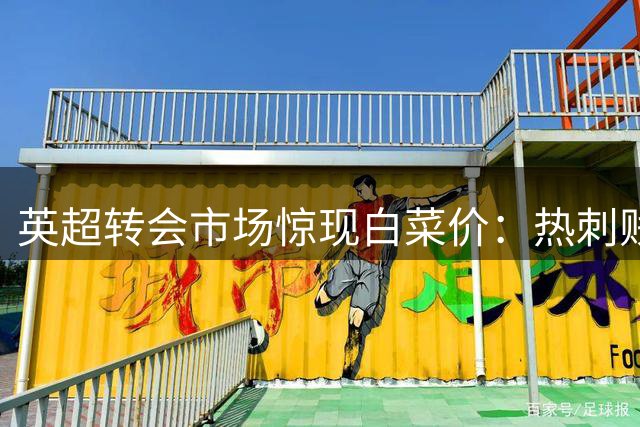 英超转会市场惊现白菜价：热刺贱卖争议边锋索罗门